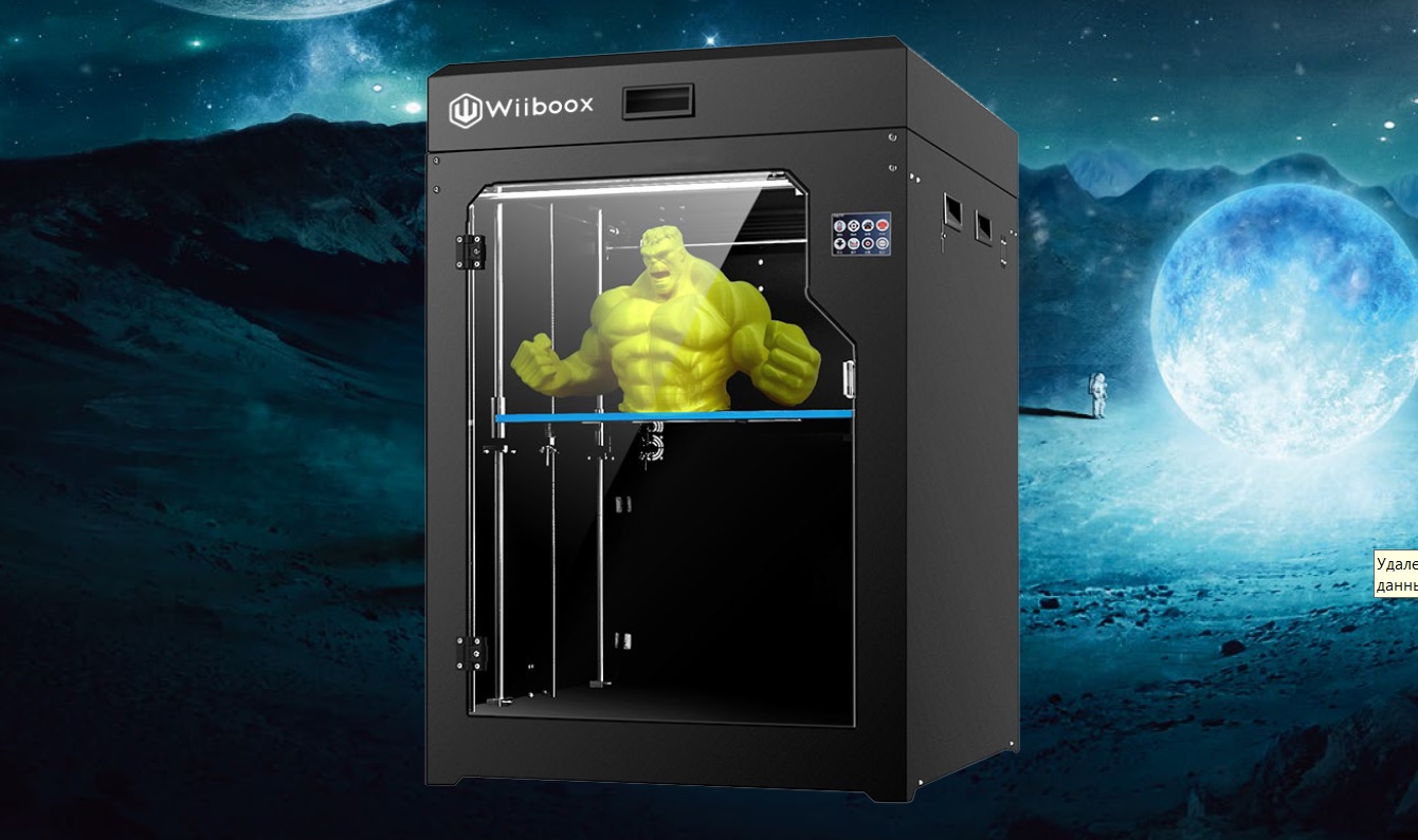 3D-принтер Wiiboox